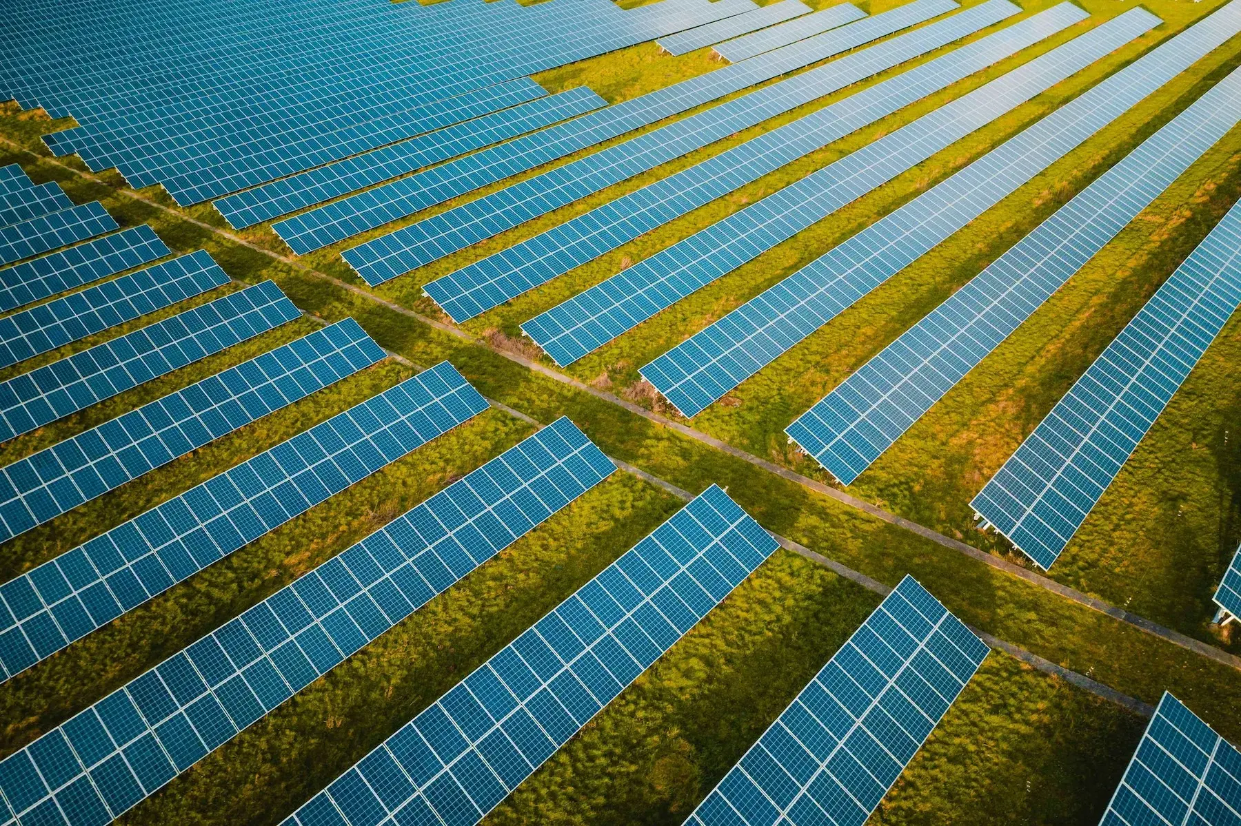 solar-field